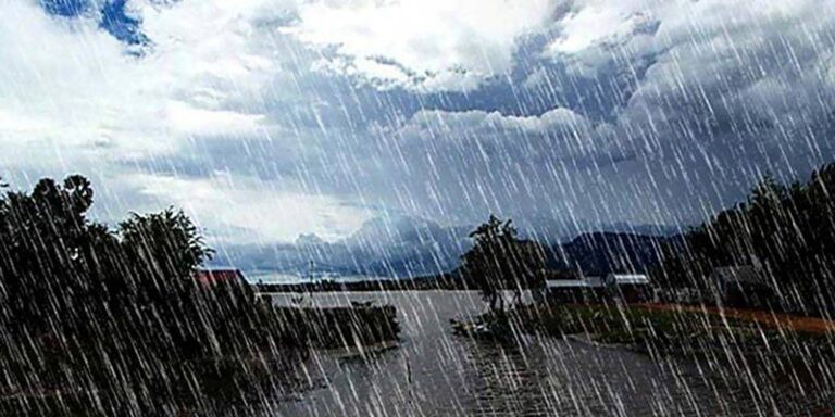 Rain