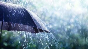 Rain