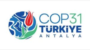 COP-31