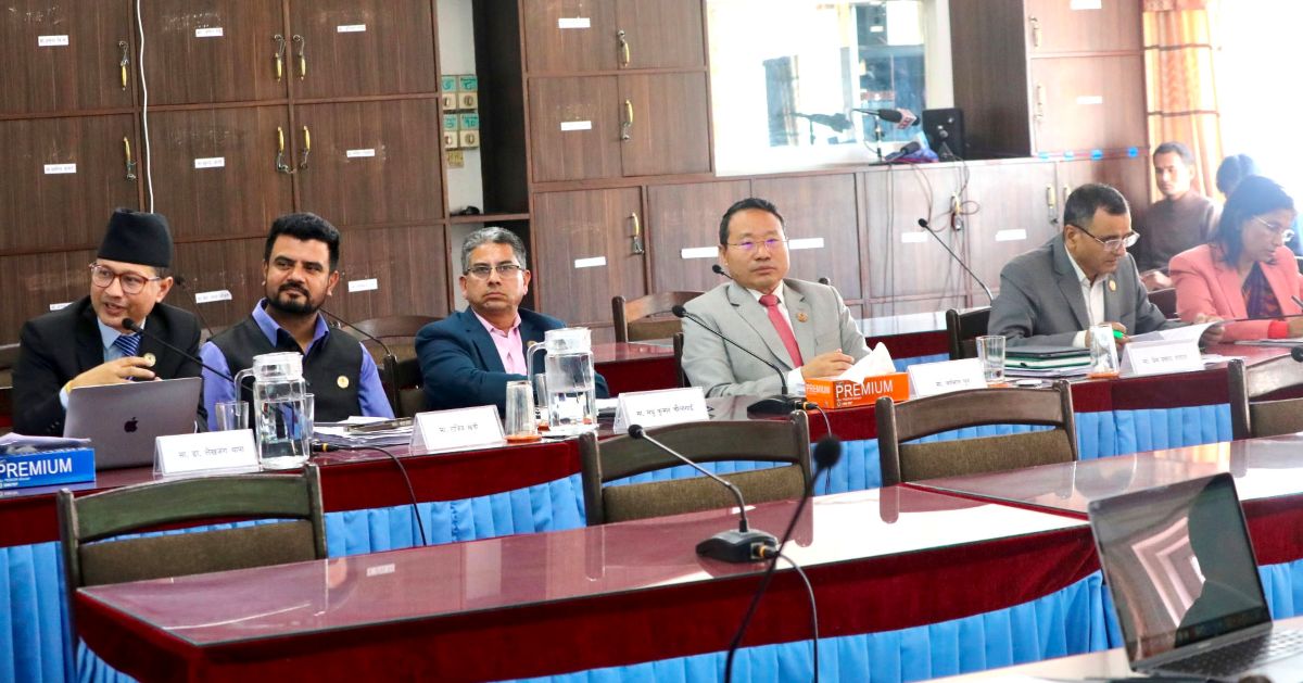 Parliamentary hearing